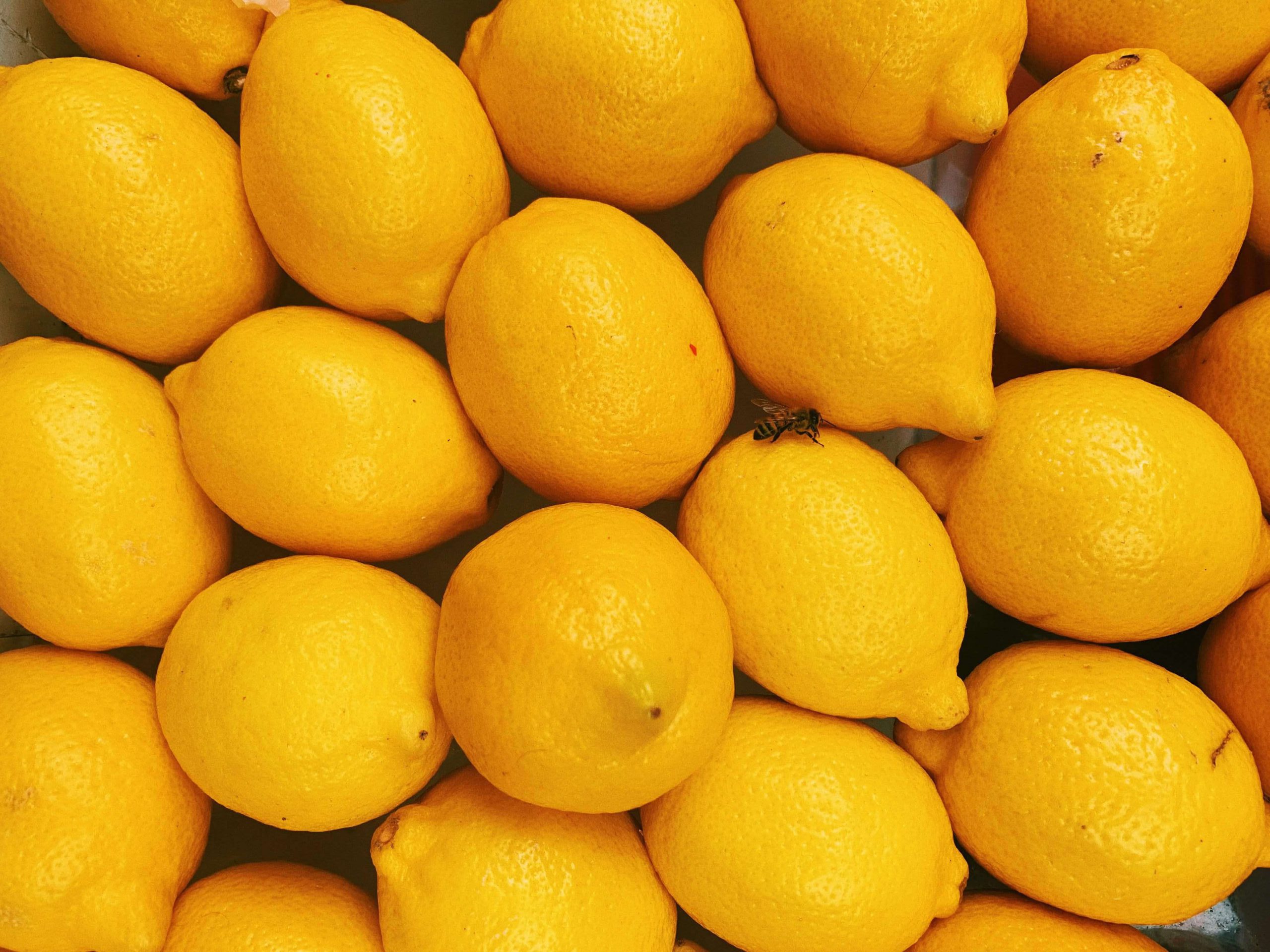 لیمو ترش