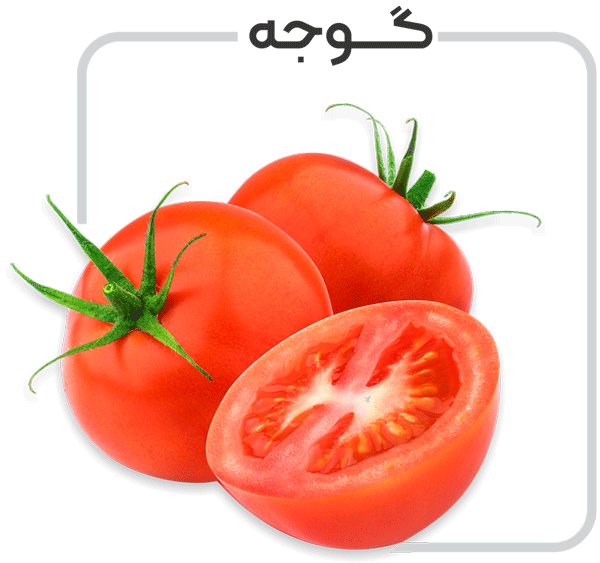 برنامه کود دهی گوجه