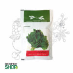 بذر خانگی اسفناج آذر سبزینه