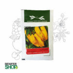 بذر خانگی فلفل کاپی