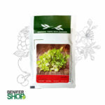 بذر خانگی گشنیز