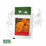 گل جعفری پاکوتاه نارنجی