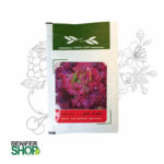 بذر خانگی کاهو فر بنفش آذر سبزینه