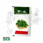 بذر خانگی نعنا