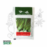 بذر خانگی پیازچه آذز سبزینه