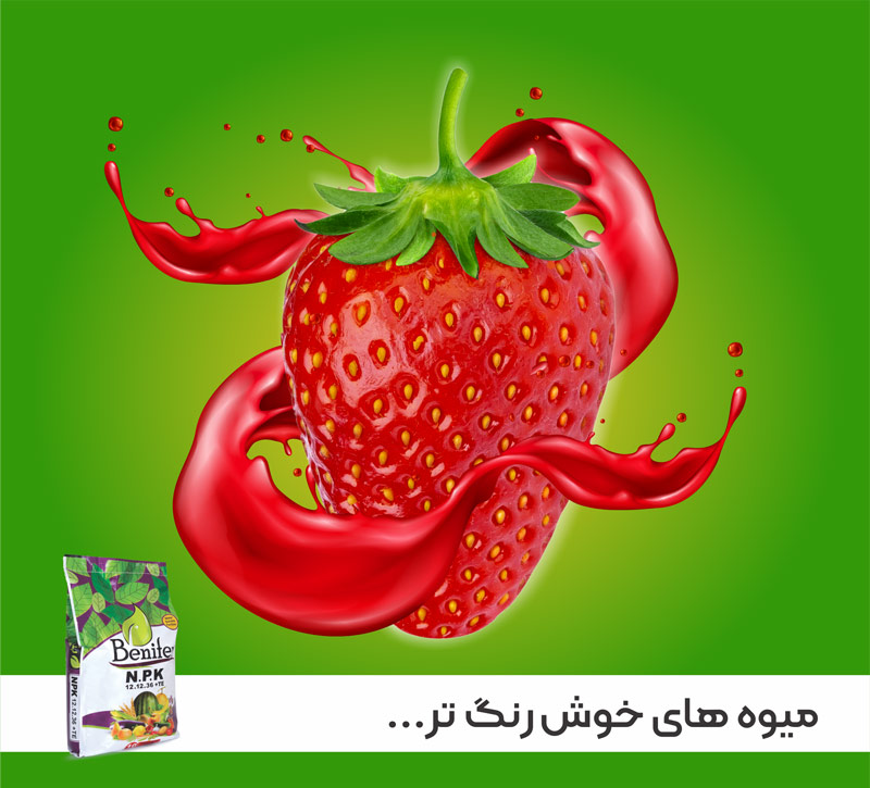 کود NPk 12 12 36 بنیفر