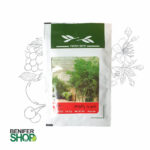 بذر خانگی شوید پا کوتاه آذر سبزینه