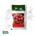 بذر خانگی تربچه قرمز ایرانی آذر سبزینه