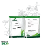 بذر هیبرید فلفل دلمه ای زرد تورمس