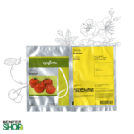 بذر هیبرید گوجه فرنگی گلخانه ای نیوتن (Newton F1)