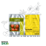 بذر هیبرید گوجه فرنگی ازمیر