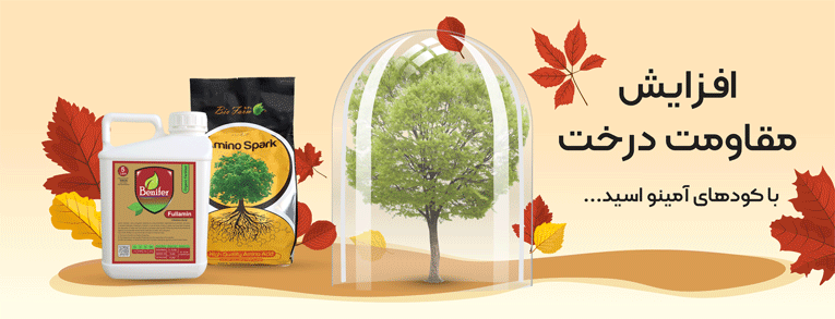 promo-banner-image