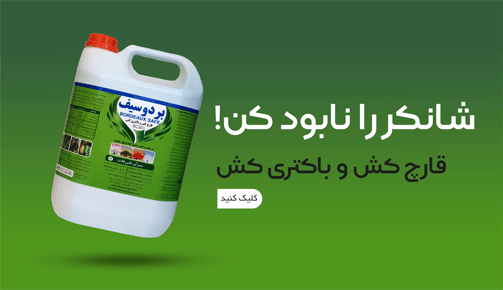 promo-banner-image