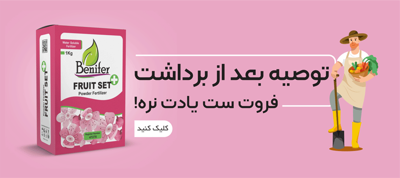 promo-banner-image