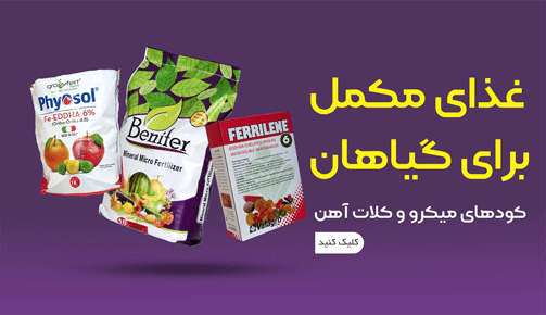 promo-banner-image