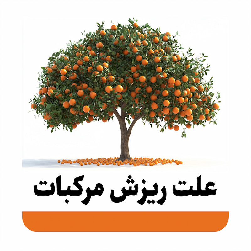 ریزش مرکبات