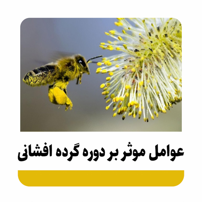 عوامل موثر بر دوره گرده افشانی