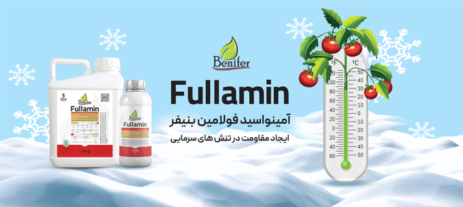 آمینو اسید فولامین بنیفر