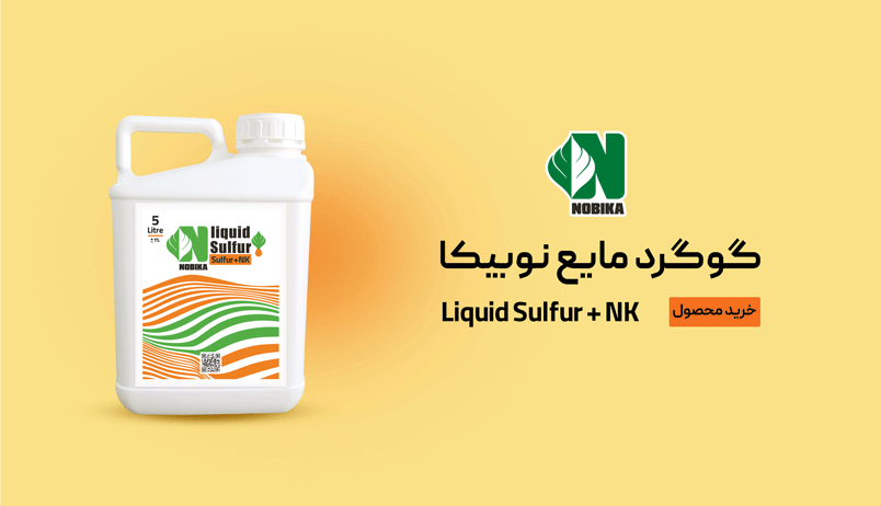 گوگرد مایع نوبیکا