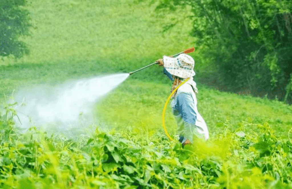 احتیاطات لازم در هنگام سمپاشی برای علف کش ها