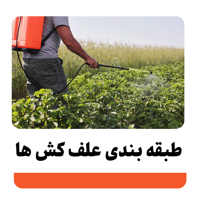 طبقه بندی زمان مصرف علف کش ها