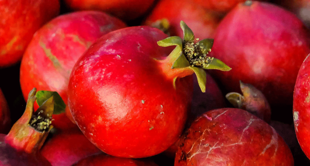 علائم بیماری کپک خاکستری انار Botrytis