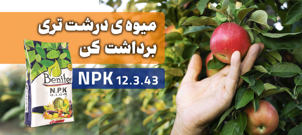 کود پتاس بالا