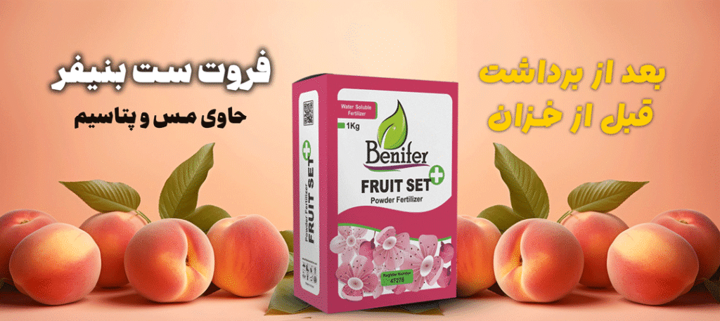 کود فروت ست بنیفر