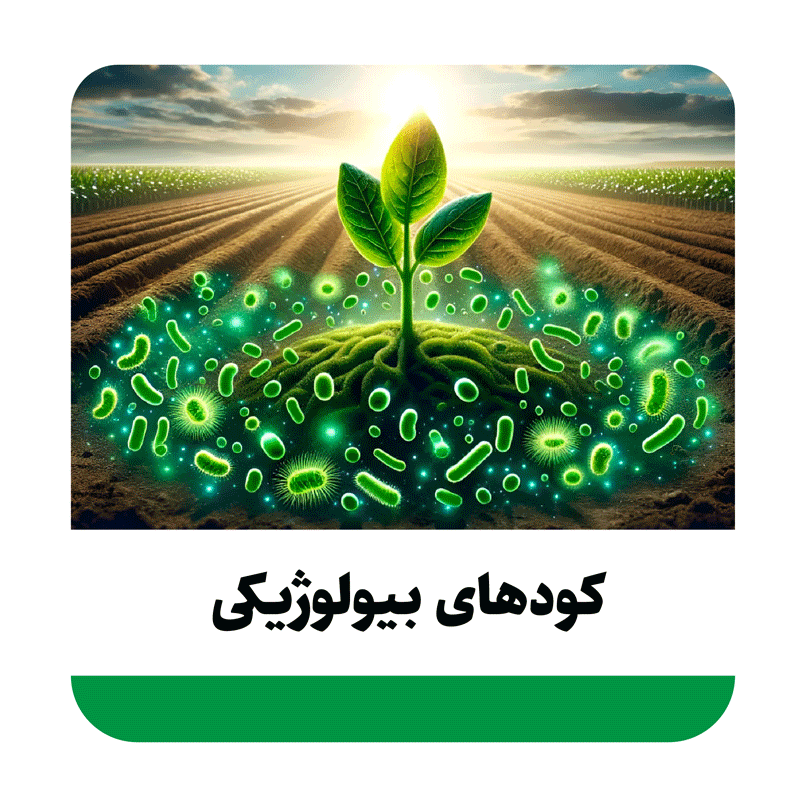 انواع کودهای بیولوژیک