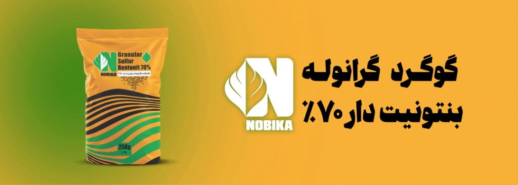 نوبیکا