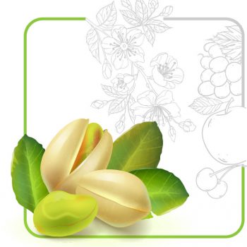 pistachio-100 پسته