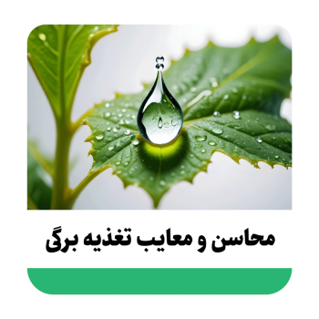 تغذیه برگی