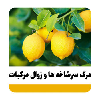 مرگ سرشاخه ها و زوال مرکبات
