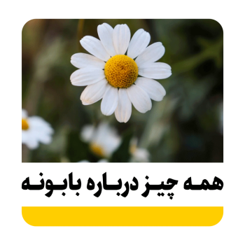 گیاه بابونه چیست؟