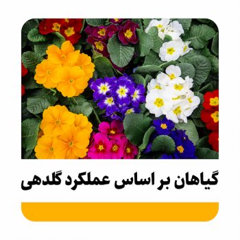 گیاهان بر اساس عملکرد گلدهی عملکرد گلدهی گیاهان